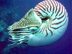 0500rgba-1837-240x180.jpg