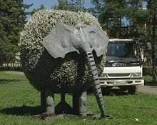 C:\Users\pc\Desktop\загружено.jpg
