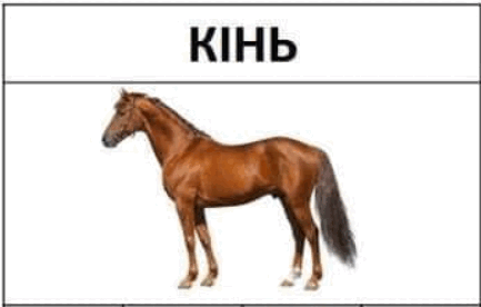 0500rsxr-7fe5-433x276.png