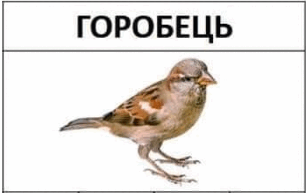 0500rsy8-0293-435x274.png