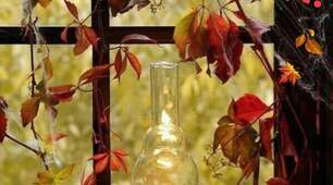 ⏳ЛИСТОПАД🕊🍂