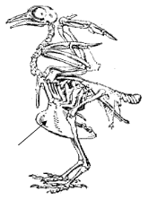 0500rugk-6e8d-175x233.png