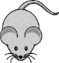 0500rwse-e89f-59x63.png