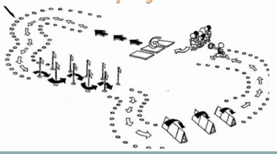 0500s01t-21b5-544x302.png