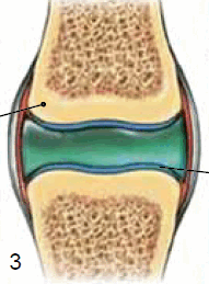 0500s38u-3104-191x259.png