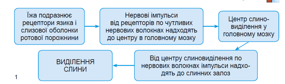 0500s533-348c-940x280.png