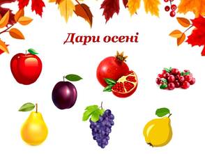 0500s5ai-6037-294x221.jpg