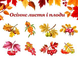 0500s5ao-4da1-310x233.jpg
