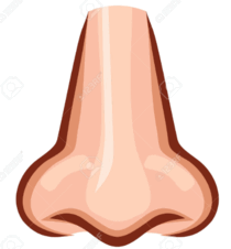 0500s7io-0e1d-210x226.png