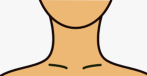 0500s7k0-3461-291x152.png