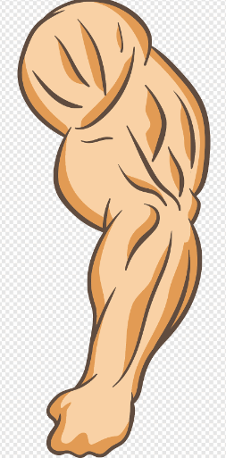 0500s7ok-69f3-253x513.png