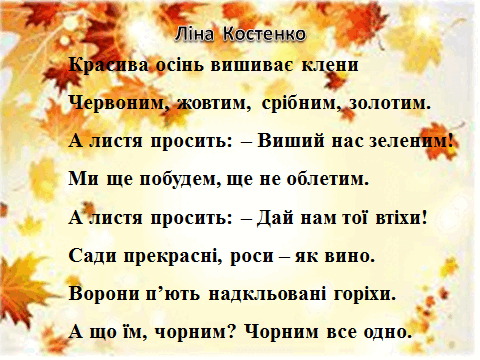 0500s8d0-c803-480x360.png