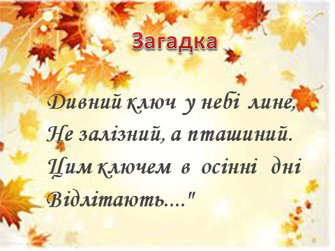 0500s8da-8ab8-480x360.png