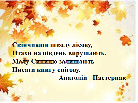 0500s8es-afd7-480x360.png