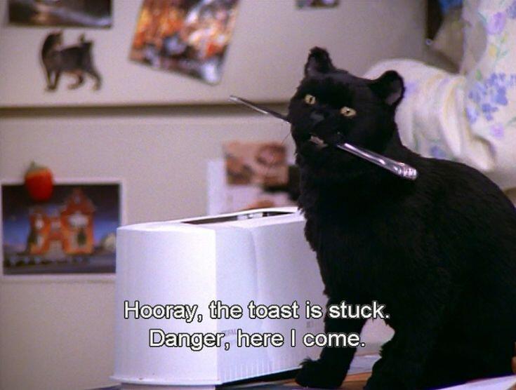0500s8h1-21b5-735x556.jpg