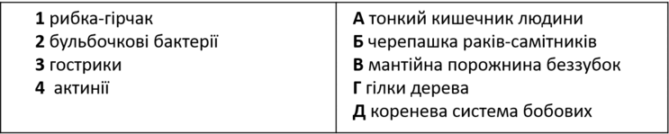 0500sbbd-8b0b-743x149.png