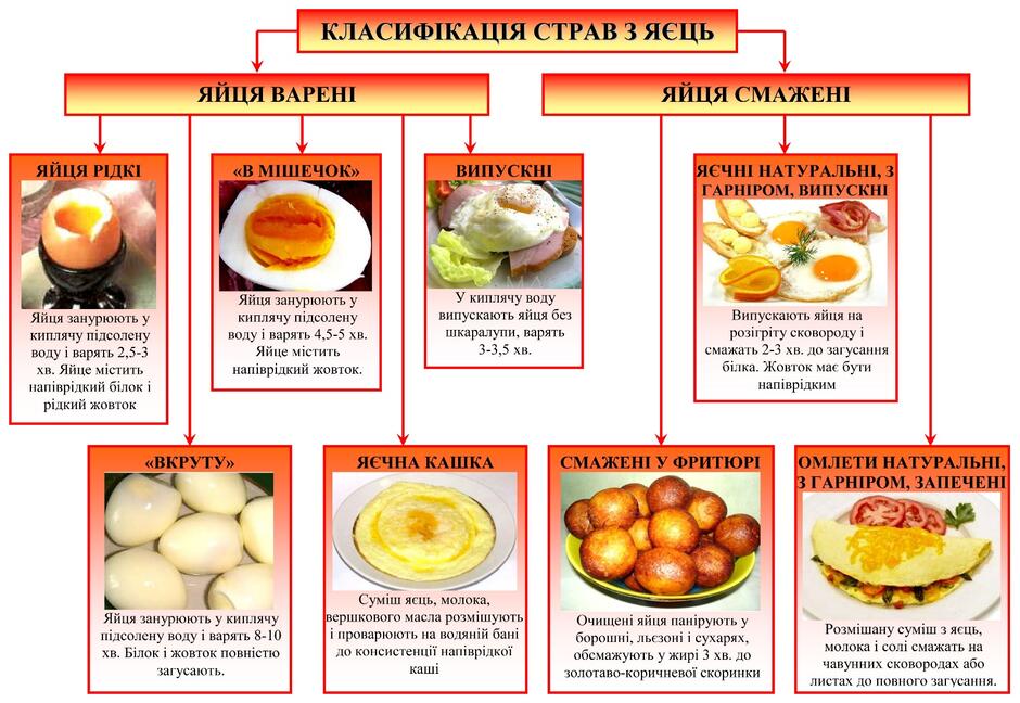 Класифікація страв з яєць