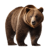 0500sddw-b6fa-162x162.png