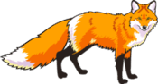 0500sdfu-45b1-175x94.png