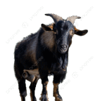 0500sdme-b9a5-142x144.png