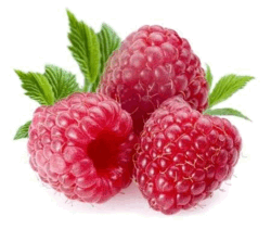 малюнок малина для дітей - Поиск в Google | Raspberry, Raspberry fruit, Fruit