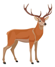 0500sgiz-67b8-434x529.png