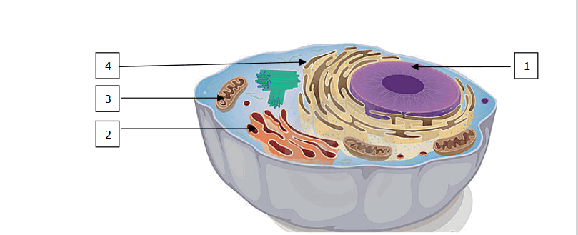 0500sjgw-0149-809x329.png