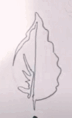 0500smv7-b32e-102x166.png