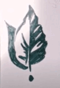 0500smv8-c52f-118x171.png