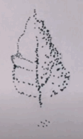 0500smv9-0407-117x195.png