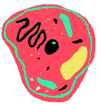 0500sn3d-e173-200x205.gif