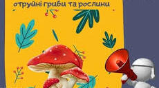 ПРЕЗЕНТАЦІЯ "ОТРУЙНІ РОСЛИНИ І ГРИБИ. ПРОФІЛАКТИКА ХАРЧОВИХ ОТРУЄНЬ"
