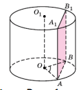0500snzw-8adb-115x131.png