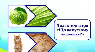 Дидактична гра "Що кому/чому належить?"