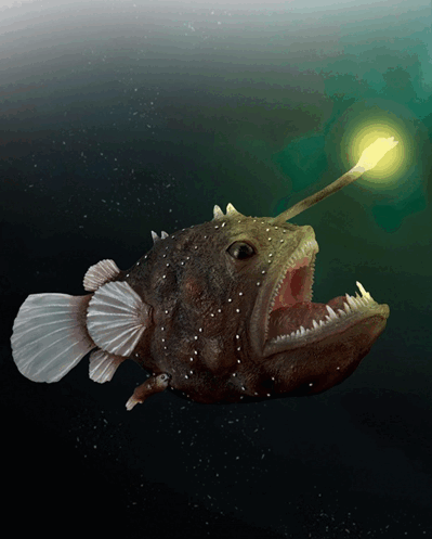 0500soih-60d6-399x497.png
