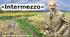 М. Коцюбинський. Новела "Intermezzo"