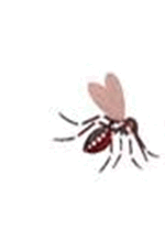 0500sp47-9926-150x228.png