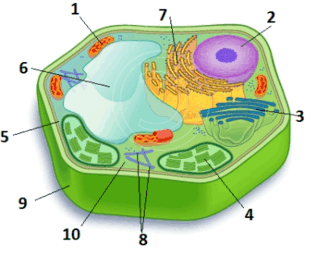 0500spdx-5c44-311x255.png