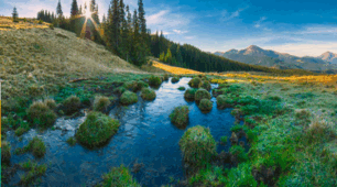 Nature