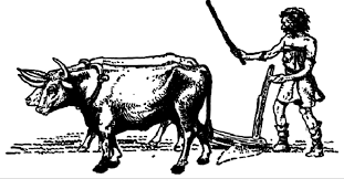 0500sry4-0833-311x162.png