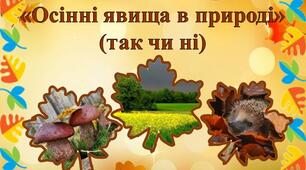 Дидактична гра "Осінні явища в природі" (так чи ні)