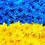 Нікітіна Діана Олександрівна