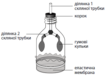 0500su2w-c984-403x293.png