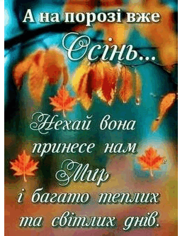 0500svb6-0c99-254x332.png