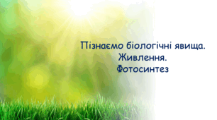 Презентація "Біологічні явища. Живлення. Фотосинтез" Інтегрований курс "Пізнаємо природу", 6 клас НУШ