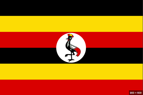 0500syjy-546a-551x366.png
