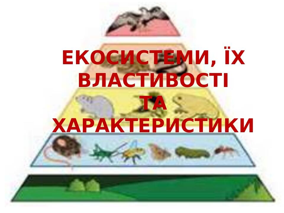 ЕКОСИСТЕМИ, ЇХ ВЛАСТИВОСТІ ТА ХАРАКТЕРИСТИКИ