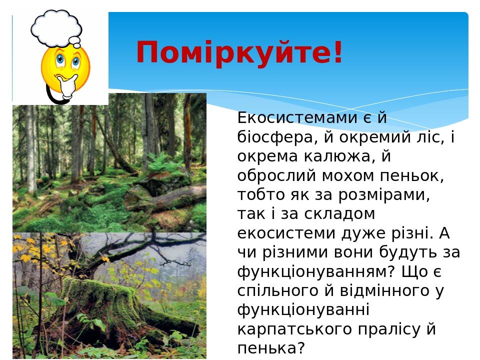 Поміркуйте! Екосистемами є й біосфера, й окремий ліс, і окрема калюжа, й оброслий мохом пеньок, тобто як за розмірами, так і за складом екосистеми ...