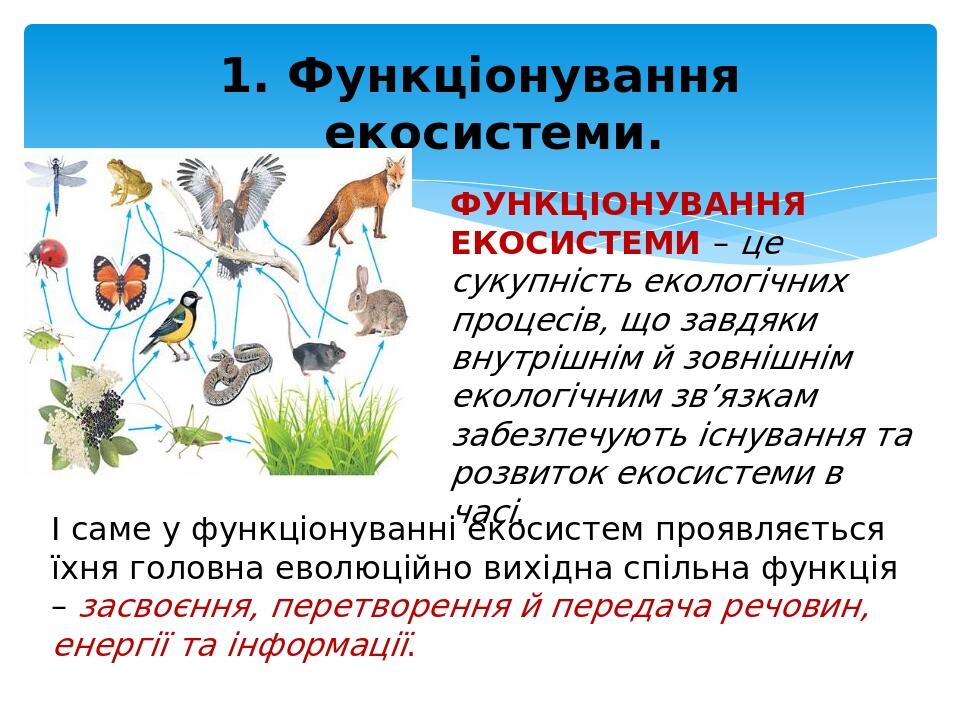 ФУНКЦІОНУВАННЯ ЕКОСИСТЕМИ – це сукупність екологічних процесів, що завдяки внутрішнім й зовнішнім екологічним зв’язкам забезпечують існування та ро...