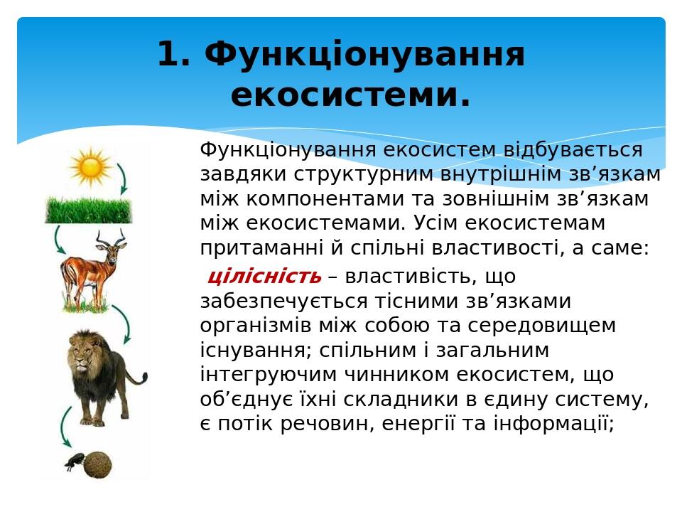 Функціонування екосистем відбувається завдяки структурним внутрішнім зв’язкам між компонентами та зовнішнім зв’язкам між екосистемами. Усім екосист...